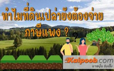 ระบบภาษีใหม่ ทำไมที่ดินเปล่ายังต้องจ่ายภาษีแพง?